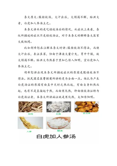 伤寒论条文“服桂枝汤 ,大汗出后,大烦渴不解,脉洪大者,白虎加人参汤主之”学习心得