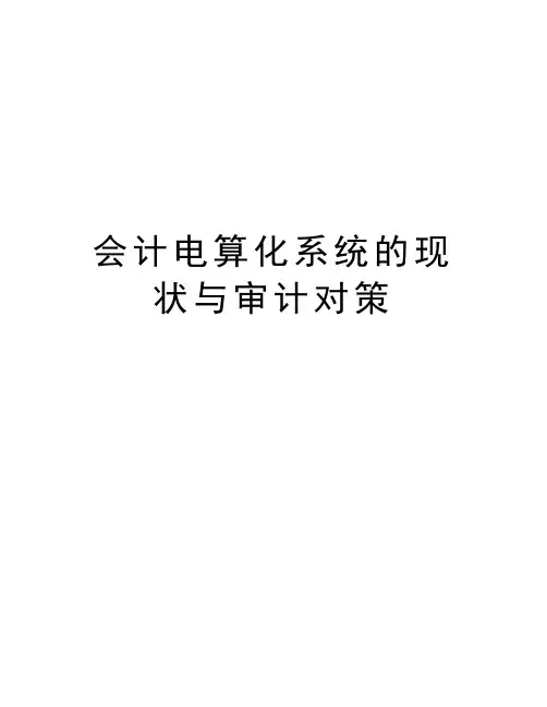 会计电算化系统的现状与审计对策