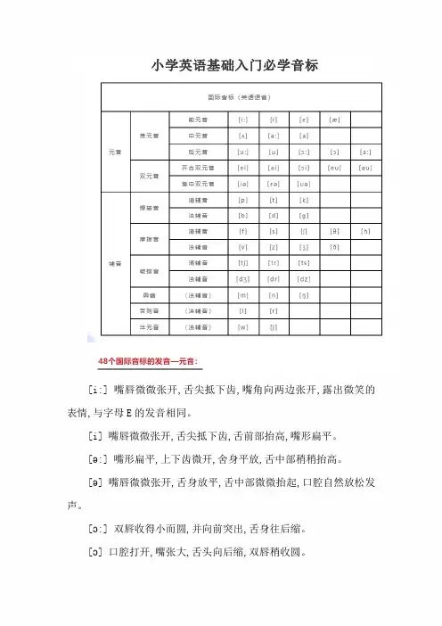 小学英语基础入门必学音标