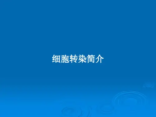 细胞转染简介PPT教案