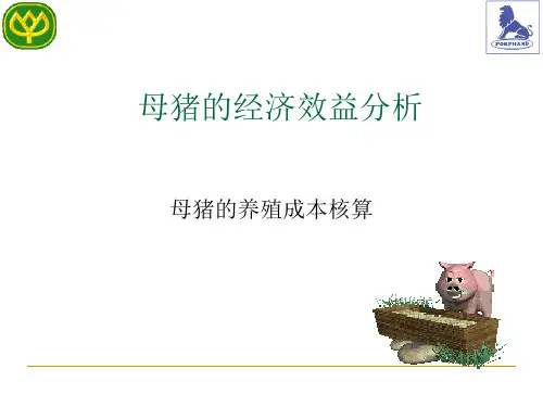 母猪的经济效益分析