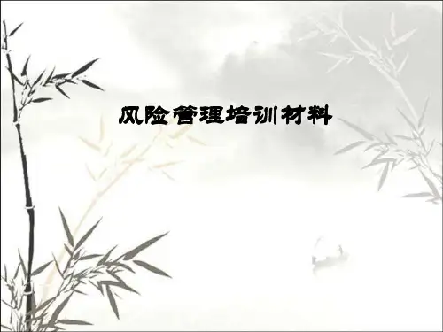 公司风险控制体系介绍