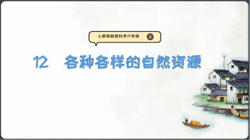 各种各样的自然资源 课件(15张PPT)