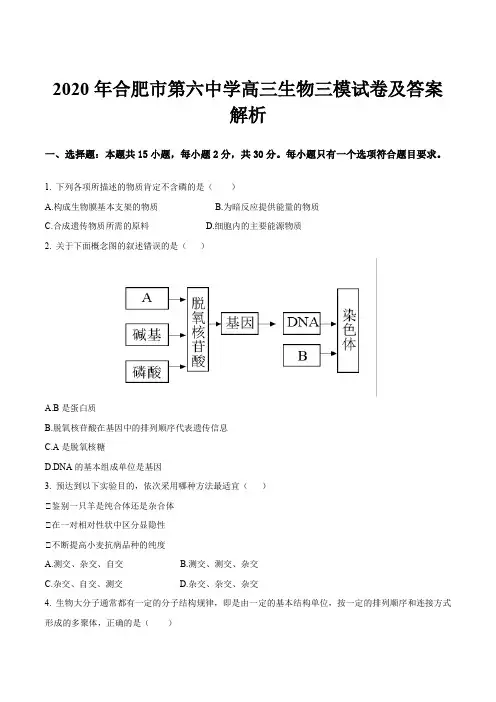 2020年合肥市第六中学高三生物三模试卷及答案解析