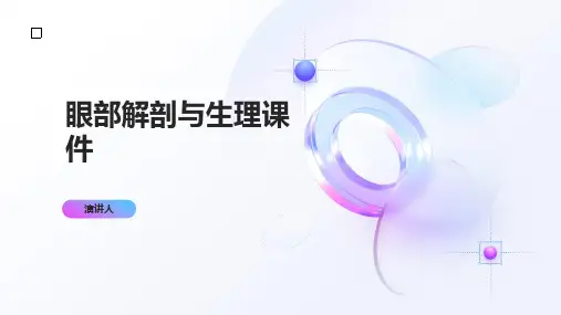 眼部解剖与生理课件