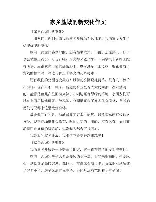 家乡盐城的新变化作文