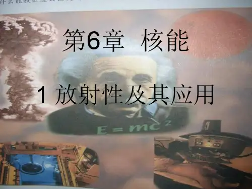 九年级科学放射性及其应用(2019年10月整理)