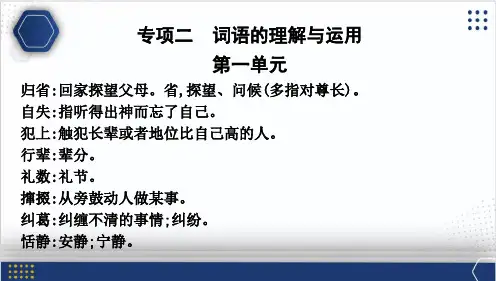期末复习专项二词语的理解与运用课件-+2023-2024学年统编版语文八年级下册