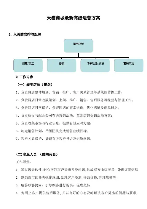 天猫商城最新高级运营方案