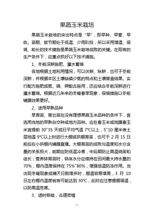 果蔬玉米栽培