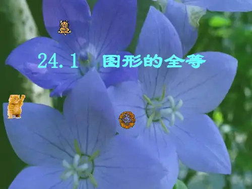 图形的全等