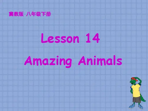 2019年冀教版八年级下册英语名师示范课Lesson14：Amazing Animals 共19张PPT语文