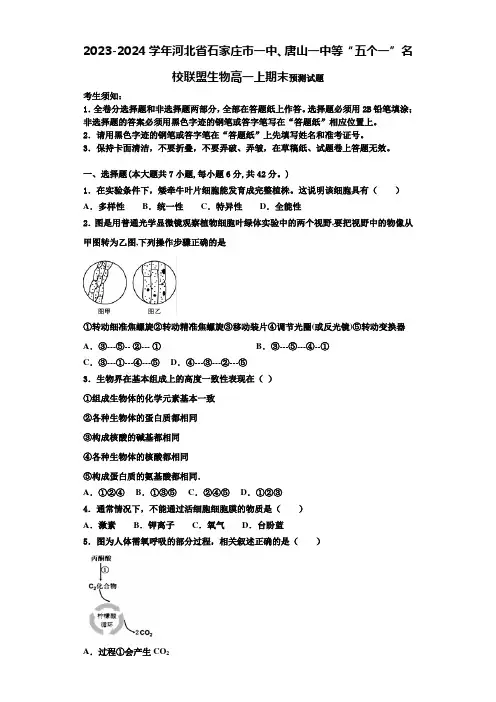 2023-2024学年河北省石家庄市一中、唐山一中等“五个一”名校联盟生物高一上期末预测试题含解析