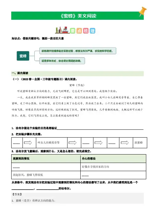 第14课蜜蜂-2022-2023学年三年级语文下册课文类文阅读理解(部编版)