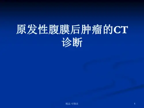 腹膜后肿瘤的CT诊断讲义精品课件