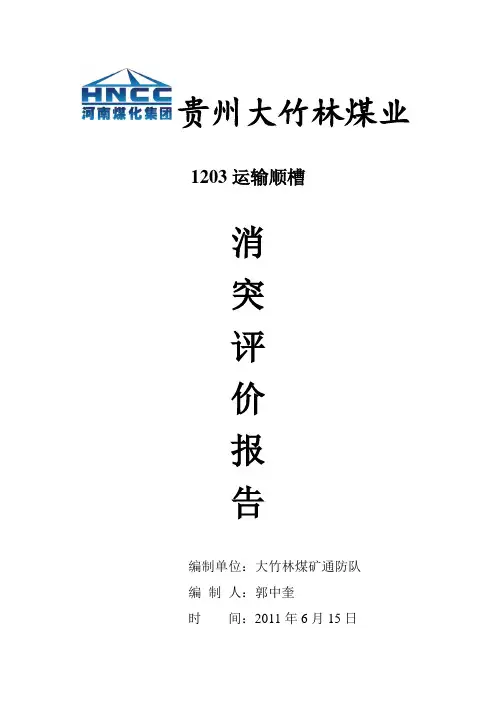 某煤矿1203运输巷消突评价报告word模板