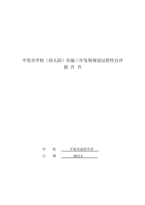 三年发展规划自评报告