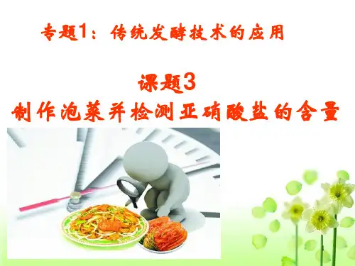 1.3泡菜的制作ppt课件