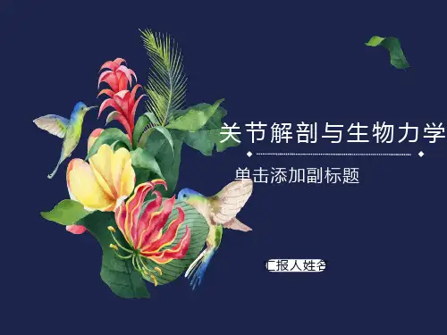 关节解剖及生物力学