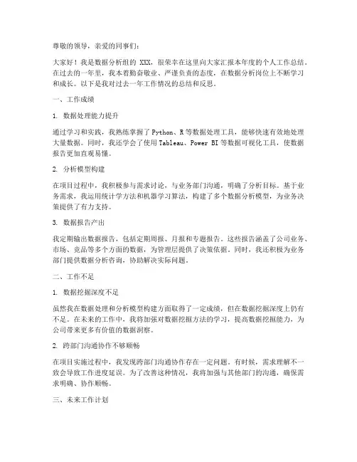 数据分析人员个人工作总结ptt