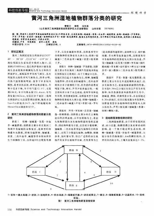黄河三角洲湿地植物群落分类的研究