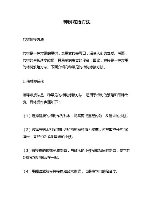 柿树嫁接方法