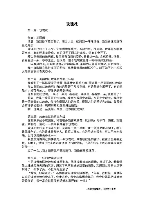 玫瑰花_五年级作文