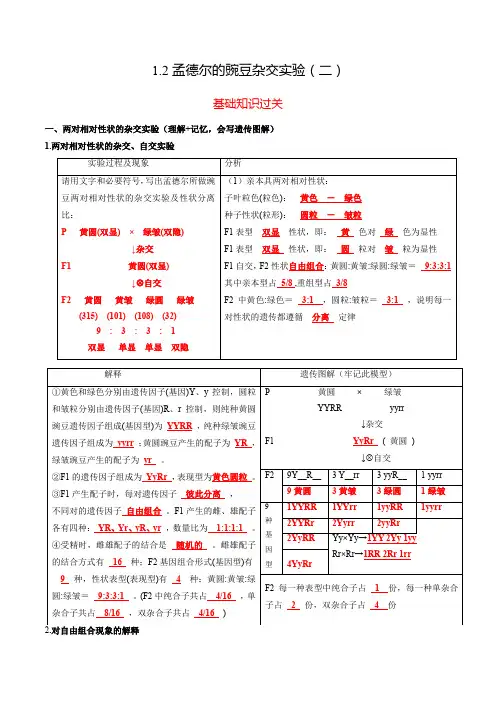 12孟德尔的豌豆杂交实验(二)(分层练习)