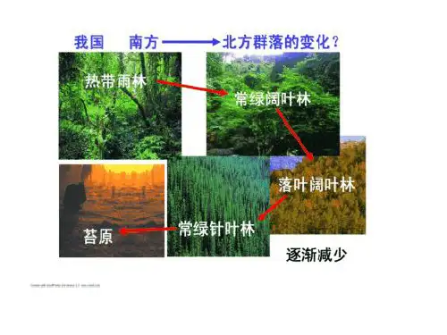 生物必修Ⅲ人教新课标4-3群落的结构课件(36张)