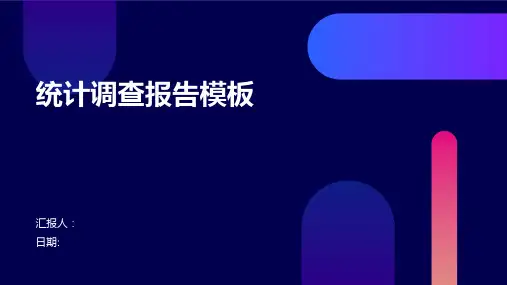统计调查报告模板