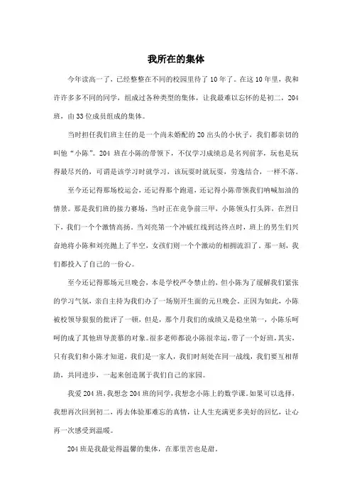 我所在的集体_高中高一作文600字