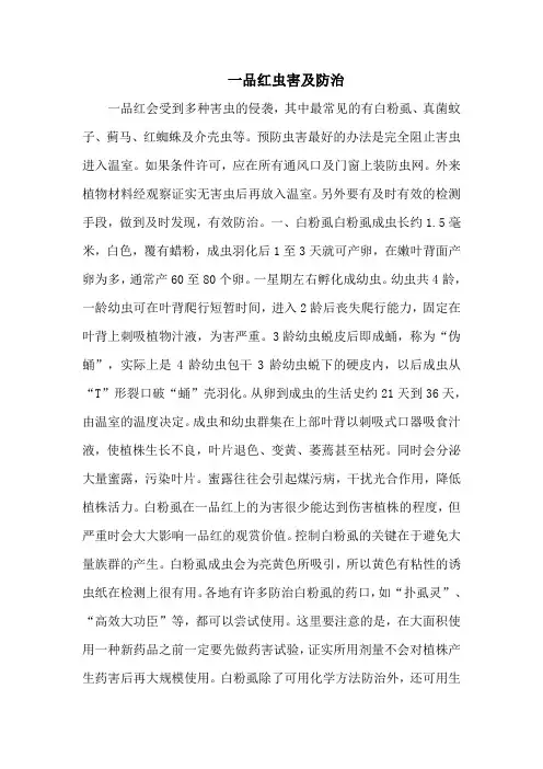 一品红虫害及防治