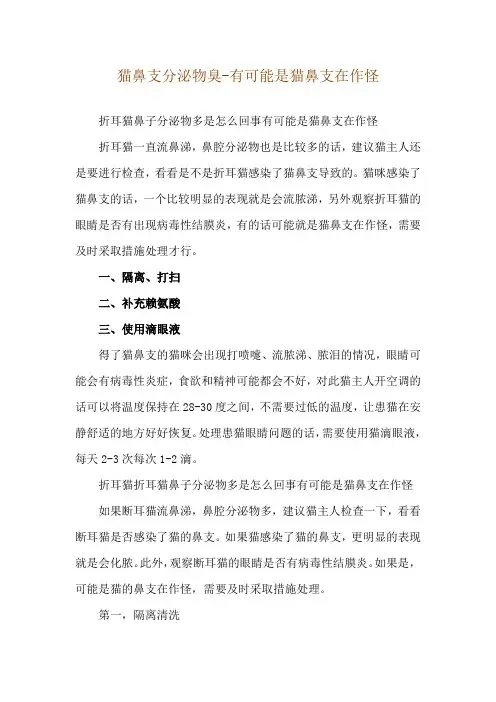 猫鼻支分泌物臭-有可能是猫鼻支在作怪