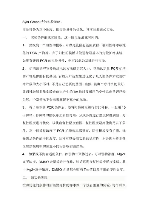 Sybr Green法的实验策略
