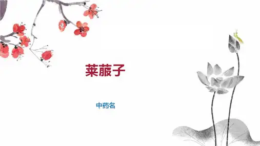 莱菔子    