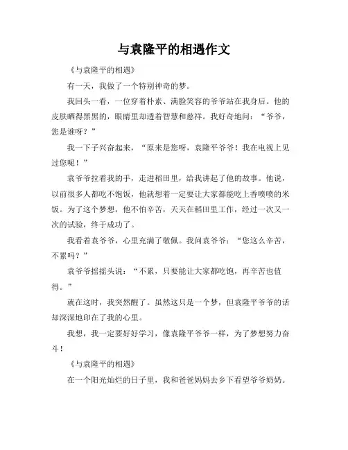 与袁隆平的相遇作文