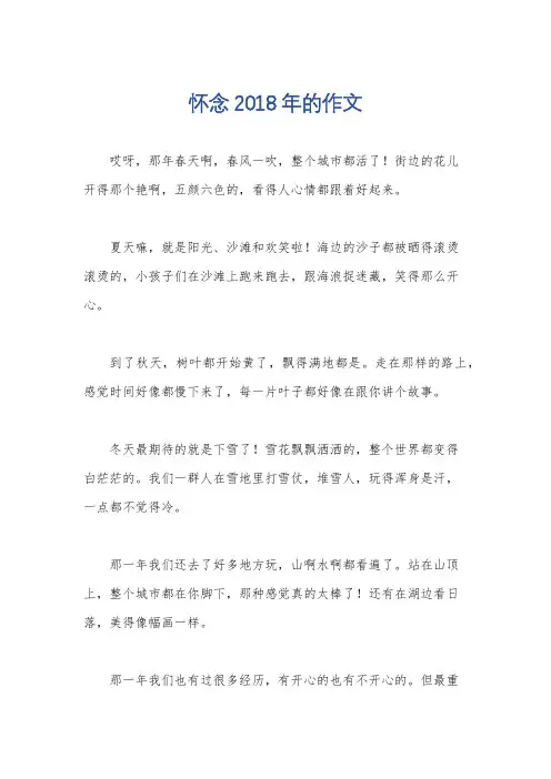 怀念2018年的作文