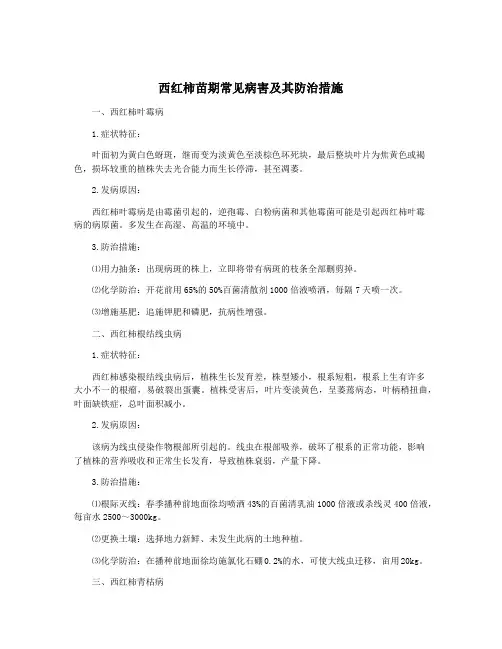 西红柿苗期常见病害及其防治措施