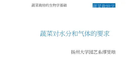 蔬菜对水分和气体的要求