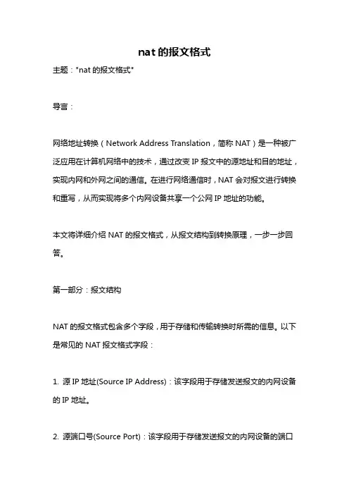 nat的报文格式