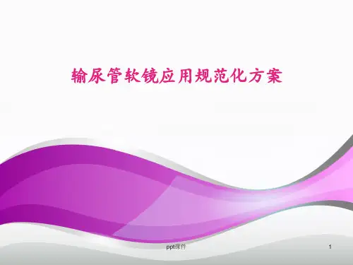输尿管软镜应用规范化方案  ppt课件