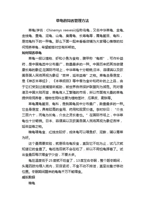 草龟的饲养管理方法