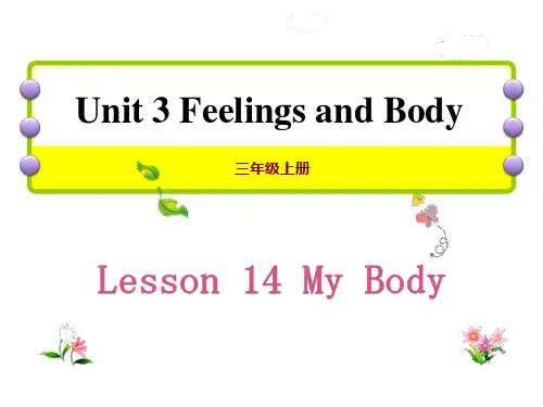 《My Body》PPT课件