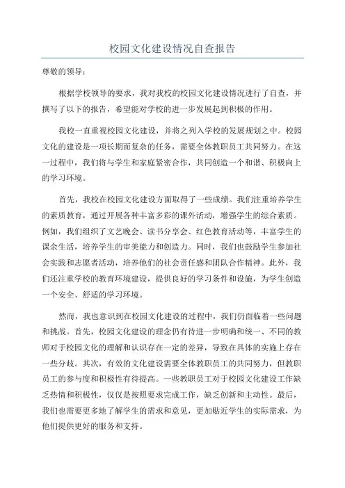 校园文化建设情况自查报告