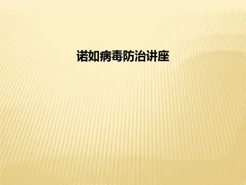 诺如病毒防治讲座