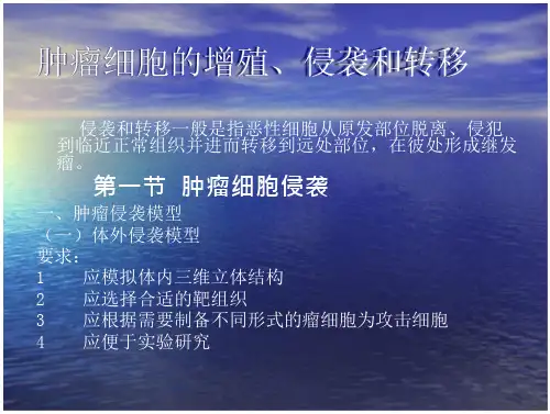肿瘤细胞的侵袭与转移