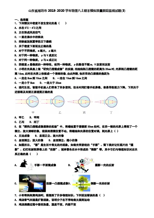 山东省潍坊市2019-2020学年物理八上期末模拟质量跟踪监视试题(3)