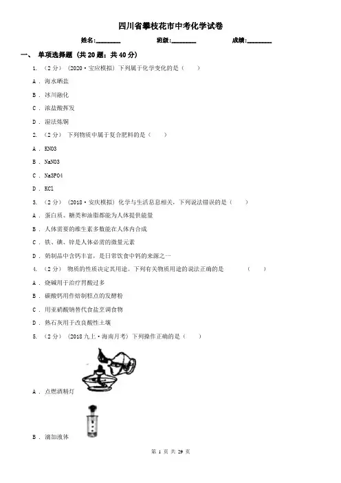四川省攀枝花市中考化学试卷