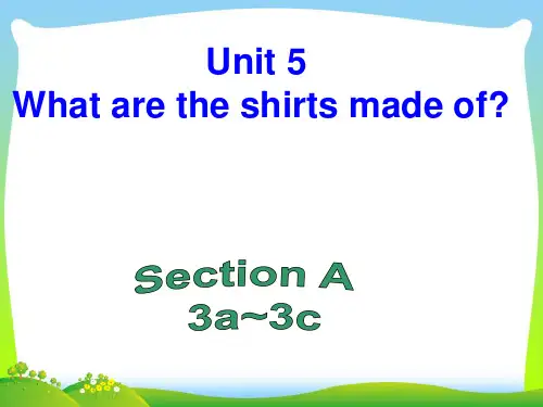 人教九年级Unit 5 section A 3a--3c (共22张PPT)