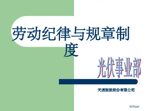 劳动纪律与规章制度